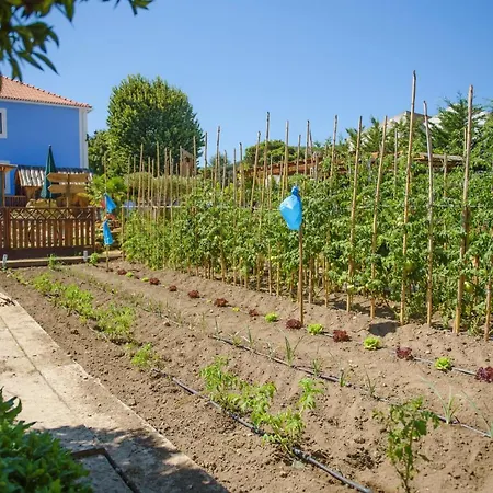 Bed & Breakfast Ninho Saloio Venda do Pinheiro