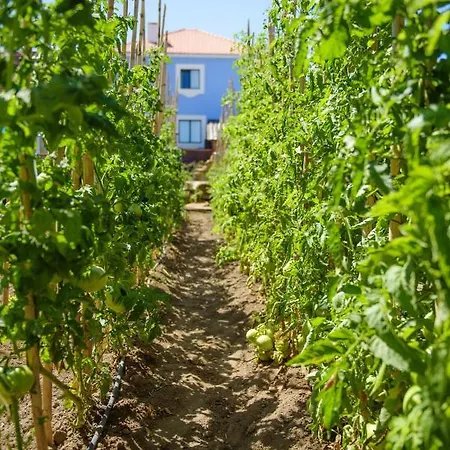 Bed & Breakfast Ninho Saloio 4*