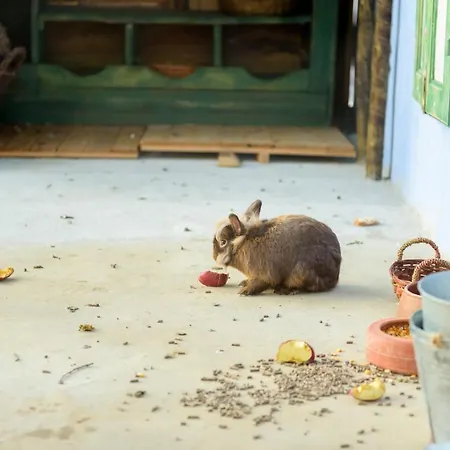 Ninho Saloio 4* Venda do Pinheiro