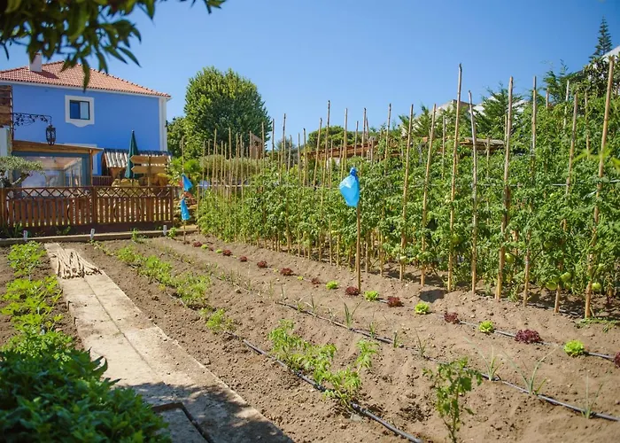 住宿加早餐酒店 Ninho Saloio Venda do Pinheiro