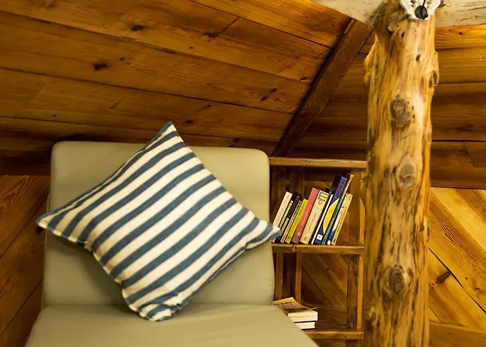 Ninho Saloio Venda do Pinheiro