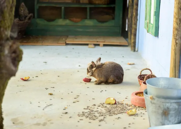 Ninho Saloio 4* Venda do Pinheiro